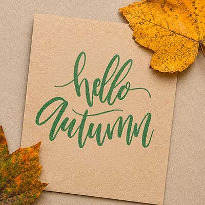 Autumn & Fall