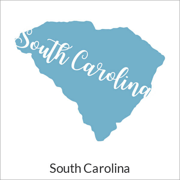 Official South Carolina Notary Stamps & Supplies | Simply Stamps