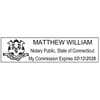Connecticut Notary Pink Stamp Impression Only