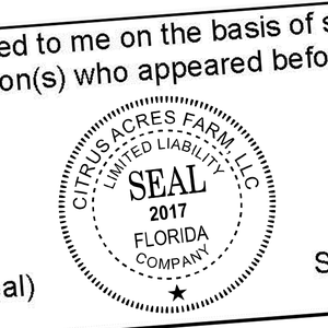 Limited Liability Company with Date Seal Rubber Stamp Imprint Example