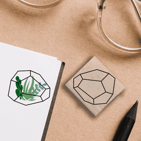 Hexagon Terrarium Stamp Lifestyle Photo and Imprint Example