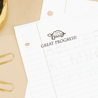 Great Progress Turtle Teacher Feedback Stamp - alternate view