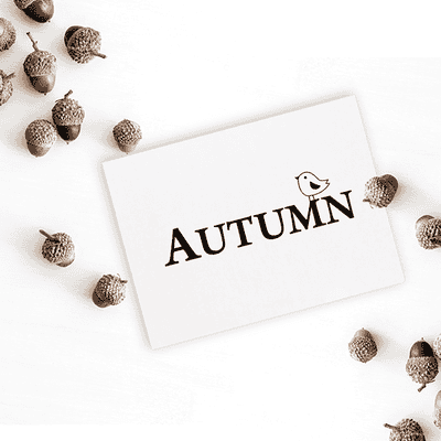 Autumn Birdie Craft Stamp - alternate view