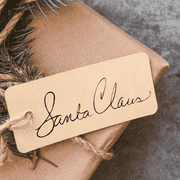 Santa Claus Realistic Signature Stamp