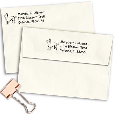 Chihuahua Dog Return Address Stamp - alternate view