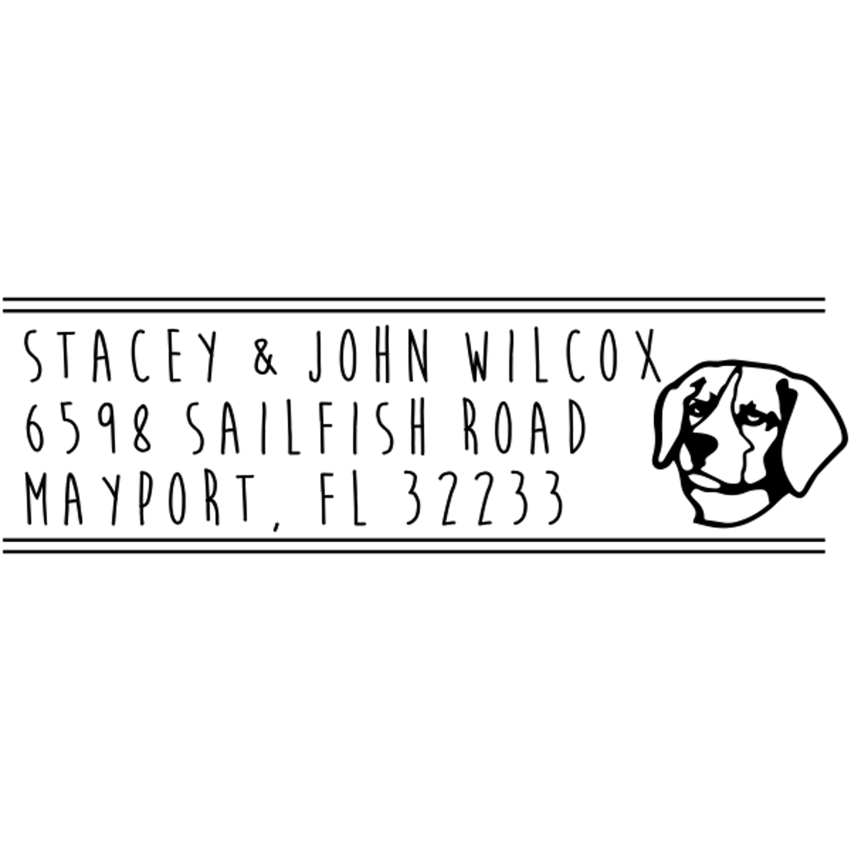 Beagle Dog Breed Address