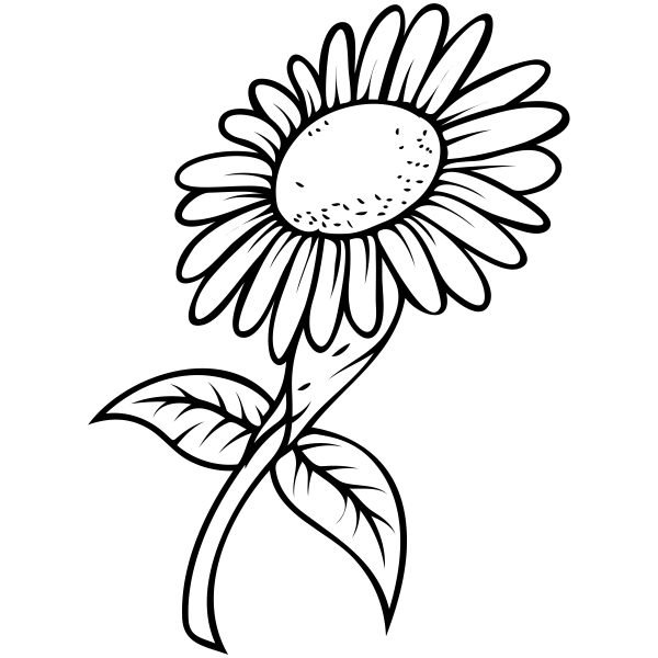 Sunflower　テキスト７冊　手書き資料 Sunflower テキスト7冊 手書き資料 Amazon.com: Composition