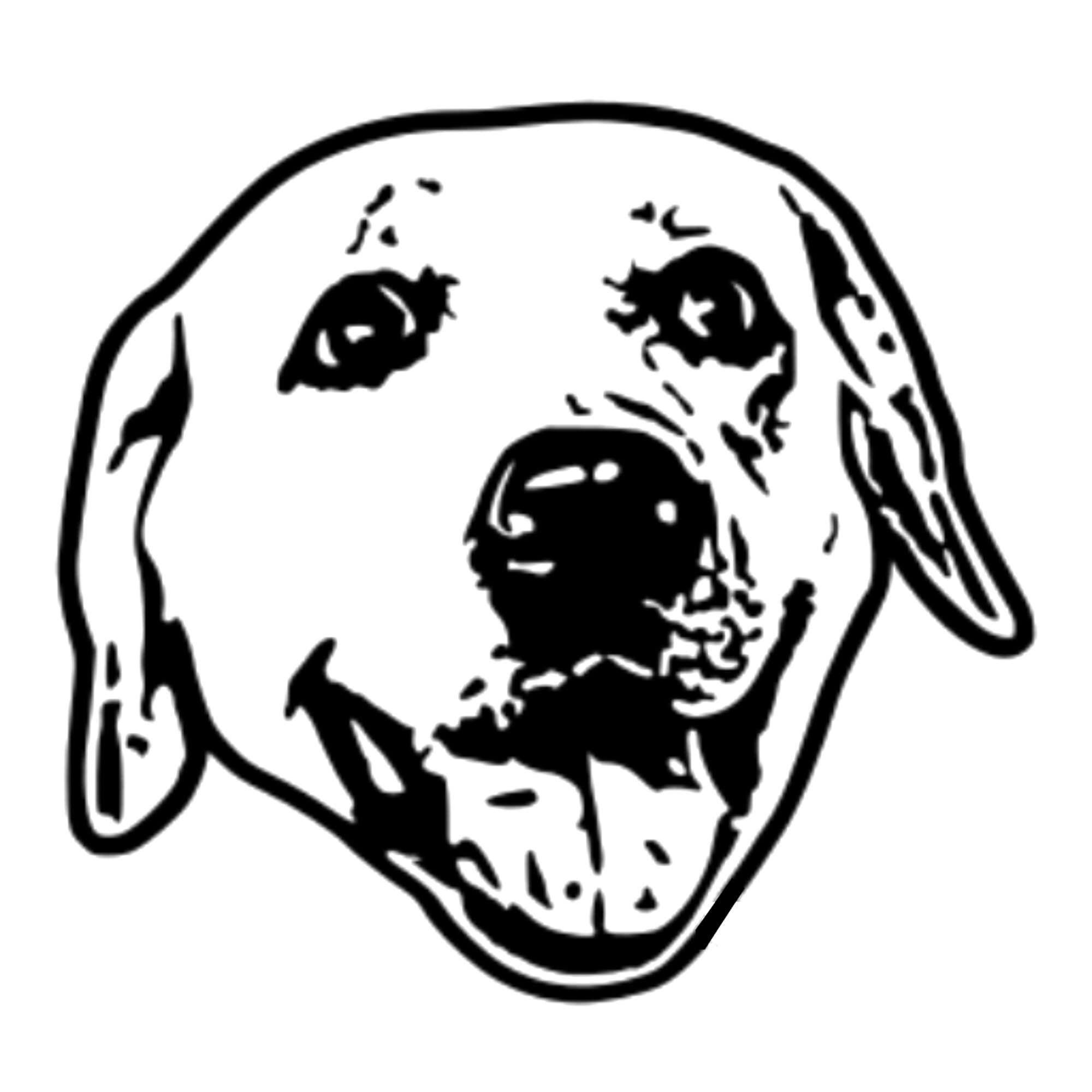 Pet Face Stamp from Photo