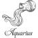 Modern Aquarius Illustration Hand Stamp