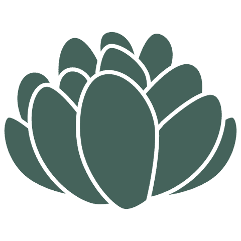 Echevaria Succulent Stamp