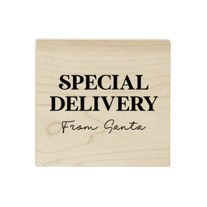 Special Delivery From Santa 1.5" Holiday Craft Stamp
