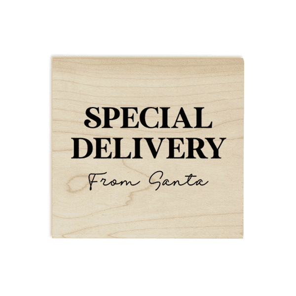 Special Delivery From Santa 1.5" Holiday Craft Stamp
