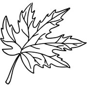 Maple Leaf Outline Stamp