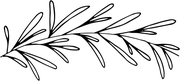 Seamless Eucalyptus Stamp