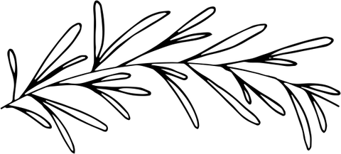 Seamless Eucalyptus Stamp