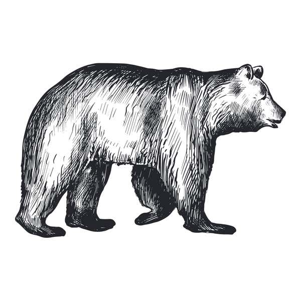 Woodland Bear Craft Stamp