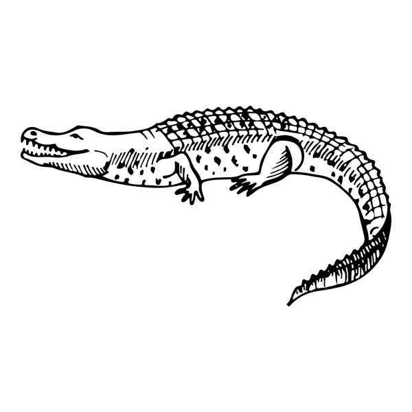 Jungle Crocodile Craft Stamp