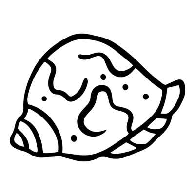 Cartoon seashell with a spiral tip on the left, ribbed flared lip on the right and wavy markings dotted across it