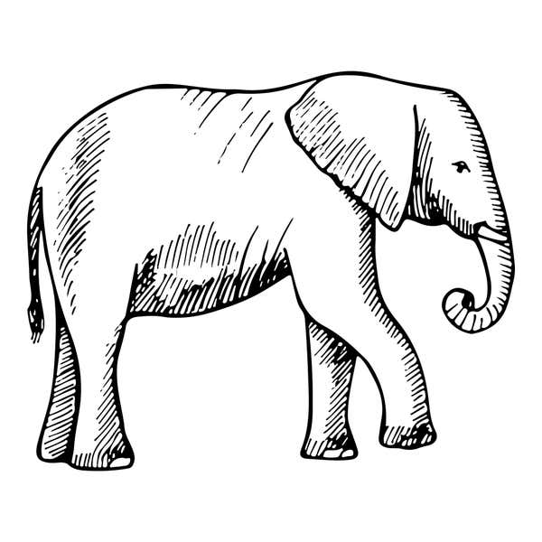 Safari Elephant Craft Stamp