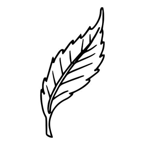 Curved Serrated Leaf Craft Stamp