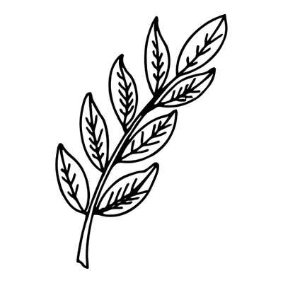 Slender curving sprig lined with small pointed leaves, each marked with a center vein and short side strokes