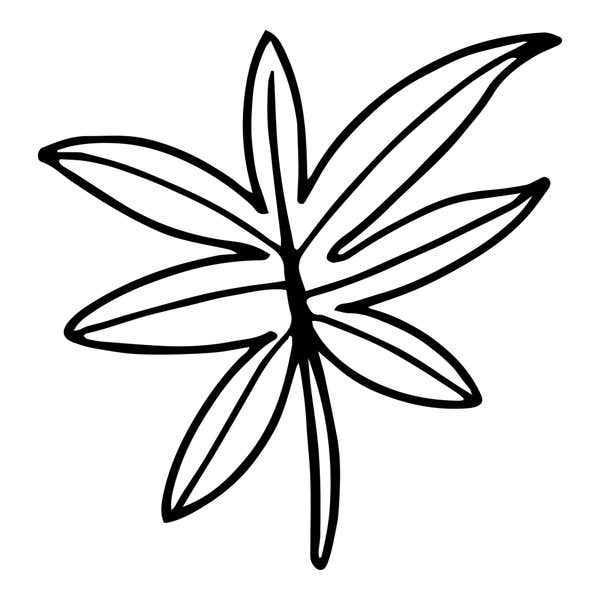 Star-Shaped Palmate Leaf Craft Stamp