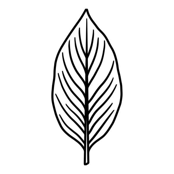 Oval Veined Leaf Craft Stamp