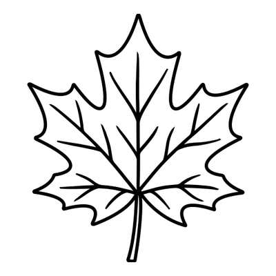 Symmetrical maple leaf with sharp pointed lobes, veins radiating from the base and a short sturdy stem