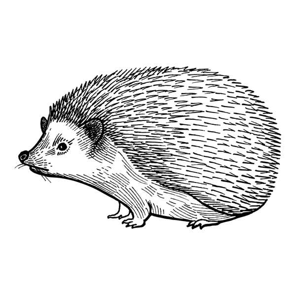 Woodland Hedgehog Craft Stamp