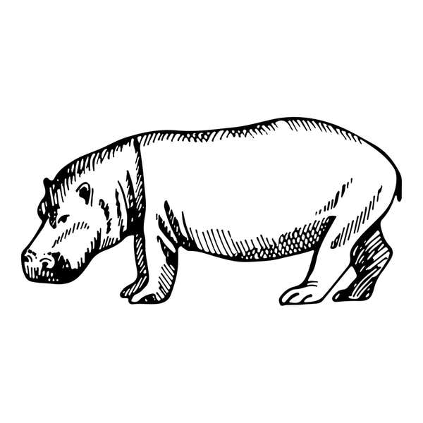 Safari Hippo Craft Stamp