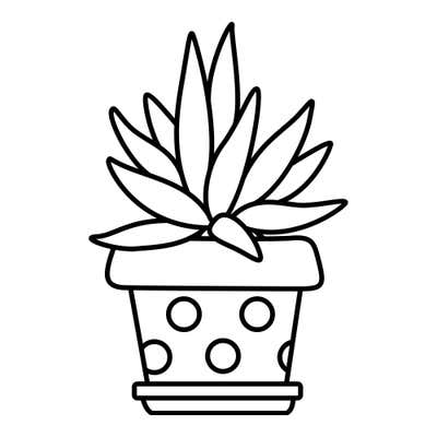 Spiky rosette succulent spilling over a rimmed pot with open polka dots, set on a small saucer