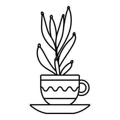 Houseplant with long curl-tipped leaves growing from a teacup with a wavy band, handle and wide saucer