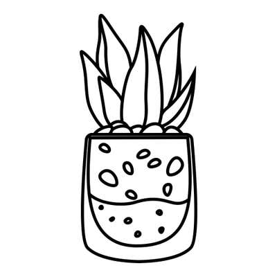 Pointed-leaf succulent in a tall rimmed jar showing layers of rounded pebbles, a wavy line and speckled soil