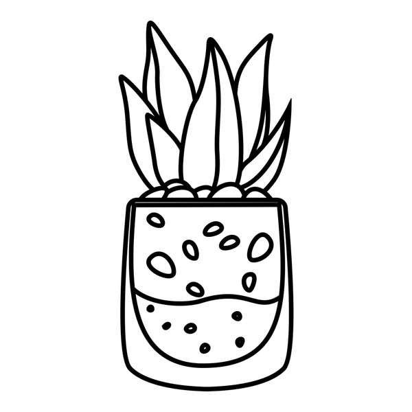 Pebble Jar Succulent Craft Stamp