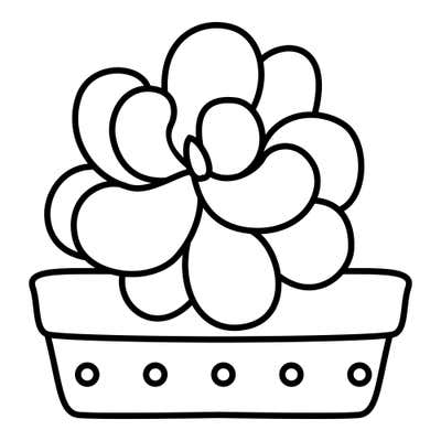 Rosette succulent of overlapping rounded leaves in a low, wide planter with a thick rim and a row of small circles