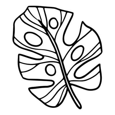 Monstera leaf with deep splits along both edges, oval holes beside a curved midrib and a stem below