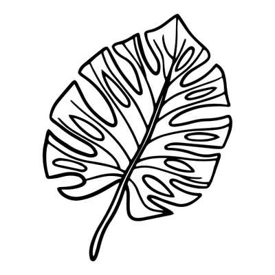 Tropical leaf set on a diagonal, split deeply into finger-like sections with small openings and a thin curved stem