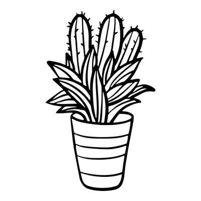 Mixed planter with two spiny cactus columns behind a bushy plant of curling pointed leaves in a striped pot