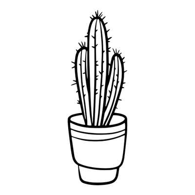 Three slender ribbed cactus columns of different heights with short spines in a small pot with one band