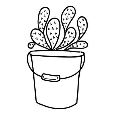 Paddle-shaped succulent leaves marked with V-shaped flecks, growing from a pail with a thin handle and label plate