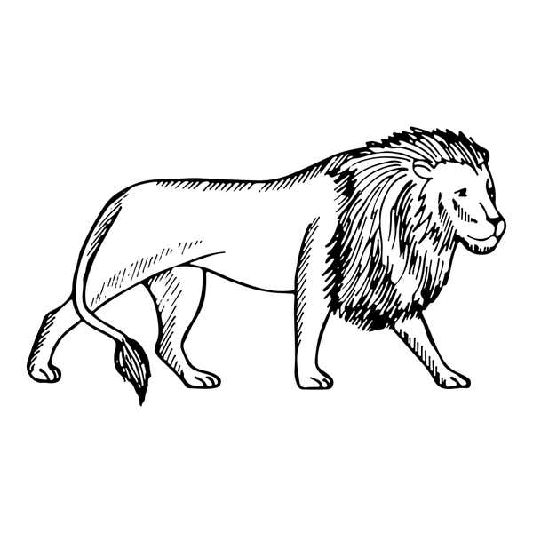 Safari Lion Craft Stamp