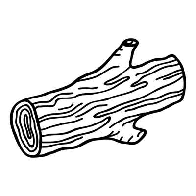 Cut log lying on its side with growth rings on the end, bark grain lines and two stubby branches