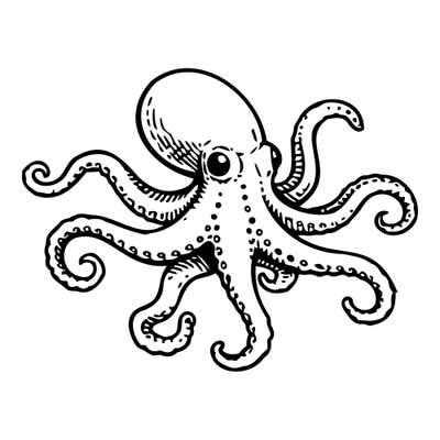 Detailed octopus with a tilted bulbous head, a large dark eye and eight curling tentacles lined with dotted suckers