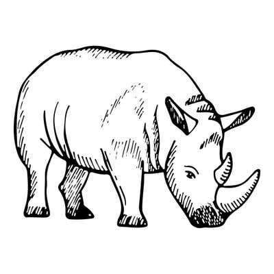 Sketched rhino facing right with its head lowered, two curved horns, upright ears and hatched folds on its legs