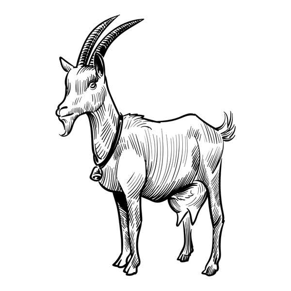 Sketched Goat Craft Stamp