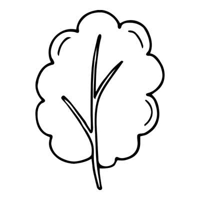 Leafy tree with a scalloped, cloud-like canopy and a slim trunk that branches inside it