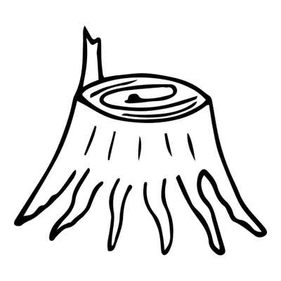 Tree stump with growth rings on top, a broken splinter on one edge and roots spreading out at the base