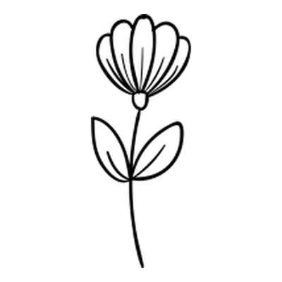 Slender bloom with fanned, veined petals over a small cup, two pointed leaves and a tall thin stem