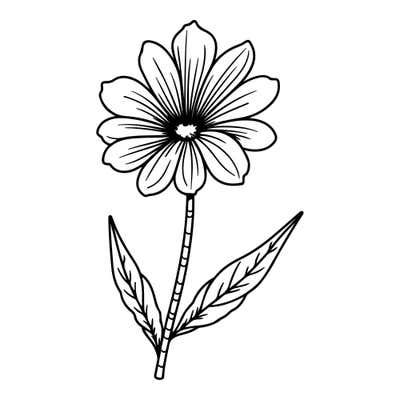 Daisy with many fine-lined petals around a dark center, a beaded stem and two long serrated leaves