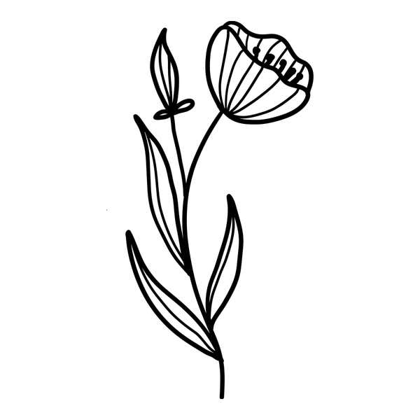 Tilted cup-shaped bloom with veined petals and dotted stamens, a pointed bud on a second stem and long leaves